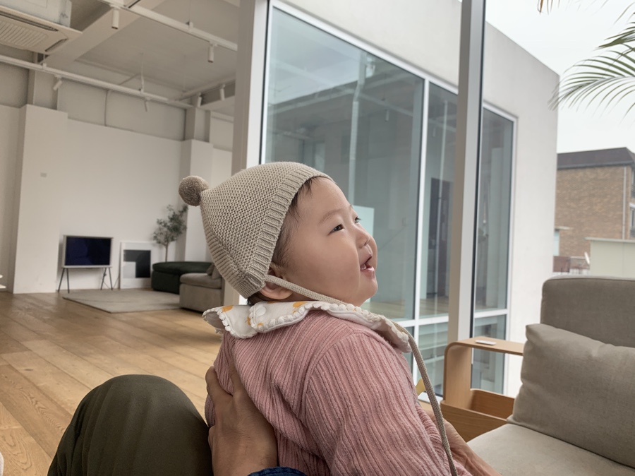 잭슨카멜레온, 플랜트란스 21