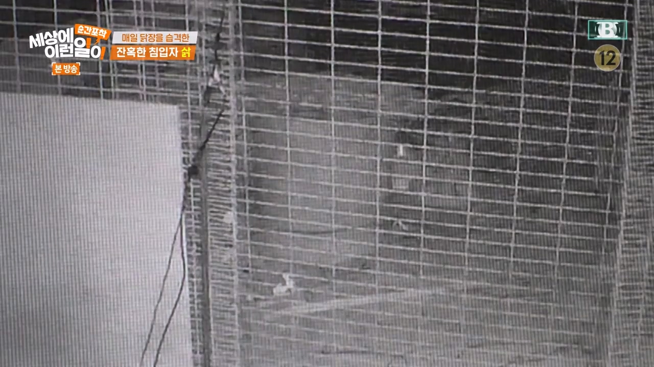 순간포착 세상에 이런일이.E1257.231224p-NEXT.mp4_20231224_180237.768.jpg