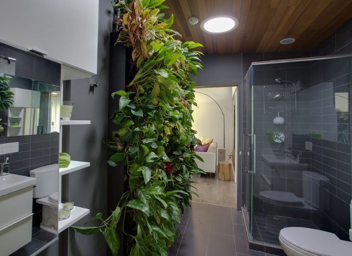 욕실을 위한 식물