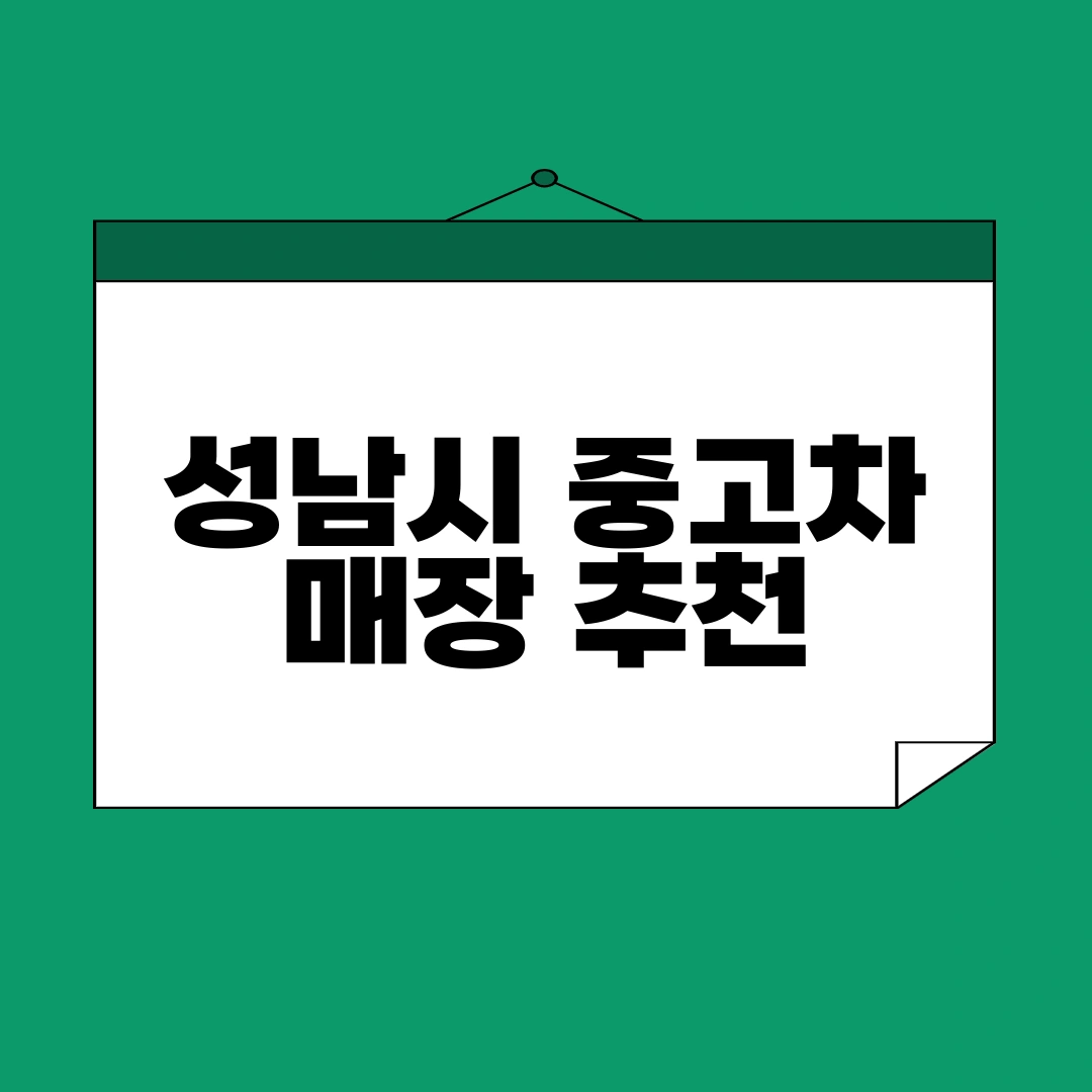 성남시 중고차
