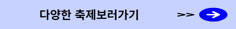 다양한 축제보러가기