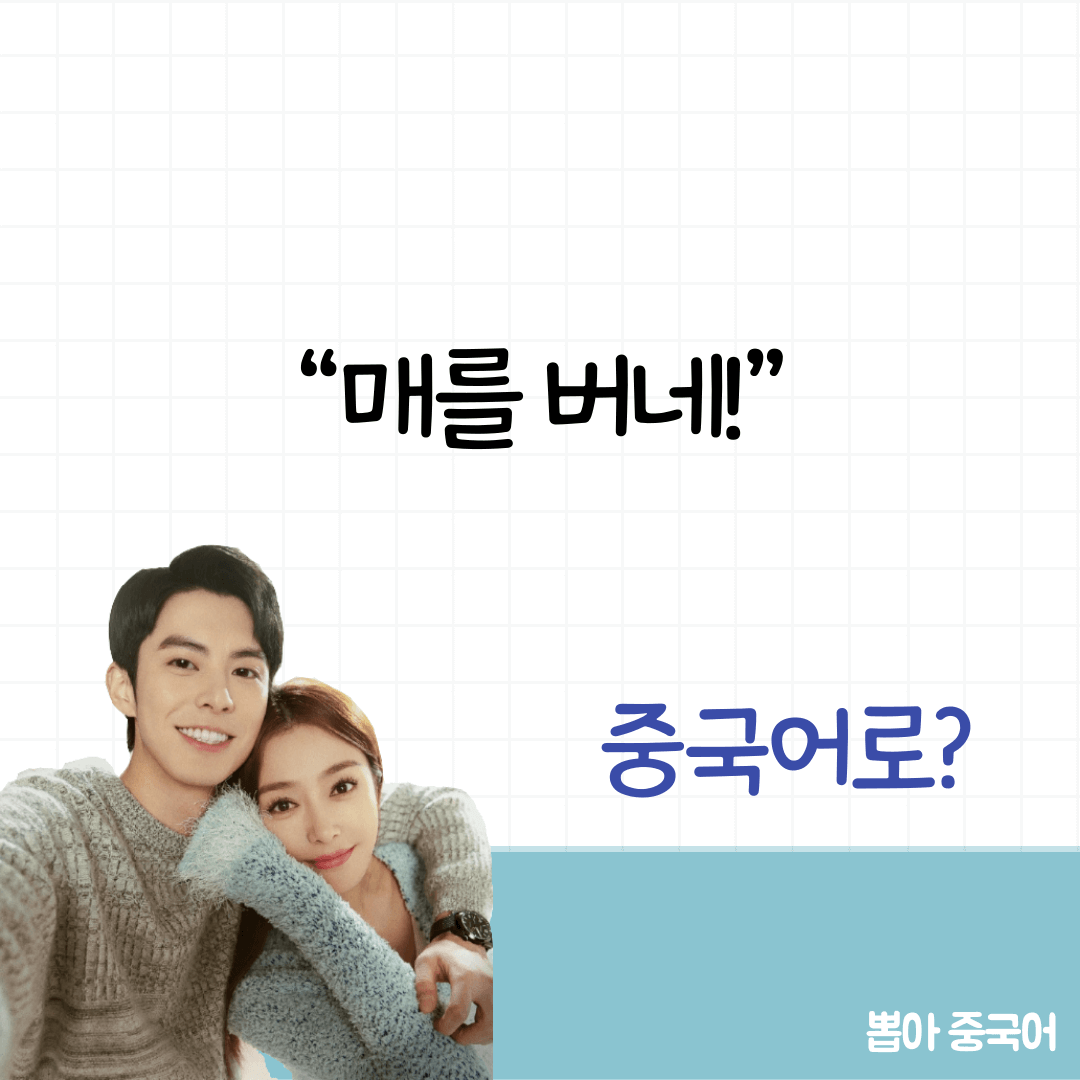 이지파생활