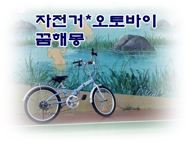  [무료꿈해몽]자전건*오토바이 꿈해몽;자전거타는꿈,오토바이모는꿈,자전거사고꿈,오토바이고장난꿈,여자친구와자전거타는꿈,자전거바퀴꿈,오토바이뒷자리,오토바이타고신나게달리는 꿈 등.