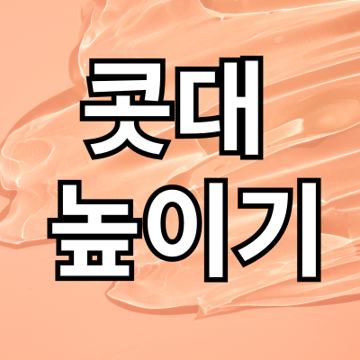 콧대 높이기
