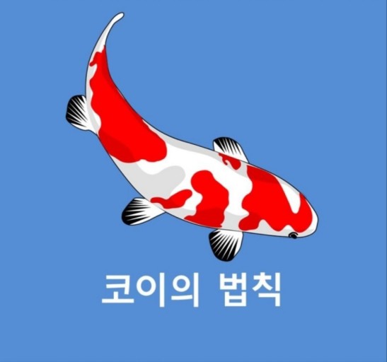 코이 이미지
