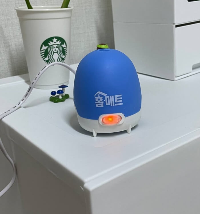 홈매트 킨 사진
