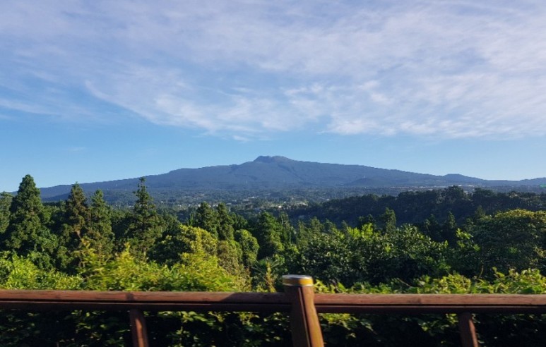 제주버스노선 2020.09 제주 800번 800-1번 4