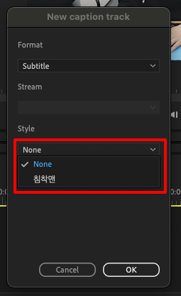 프리미어 프로 캡션 트랙 옵션