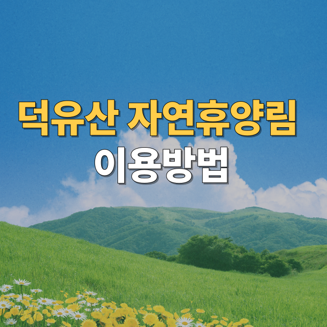 덕유산자연휴양림 예약 방법,주차장,맛집,주변 여행지
