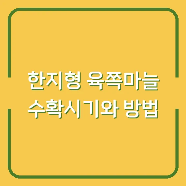 한지형 육쪽마늘 수확시기와 방법