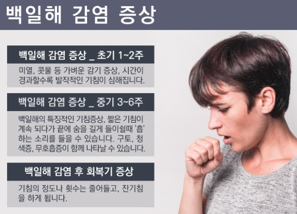 백일해 유행 증상 예방접종시기
