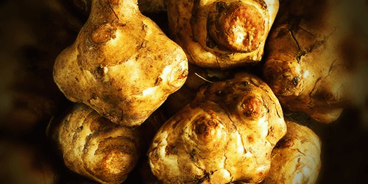 돼지감자파종시기+수확시기 당뇨병에효하는 마른돼지감자(차)효능10가지 4