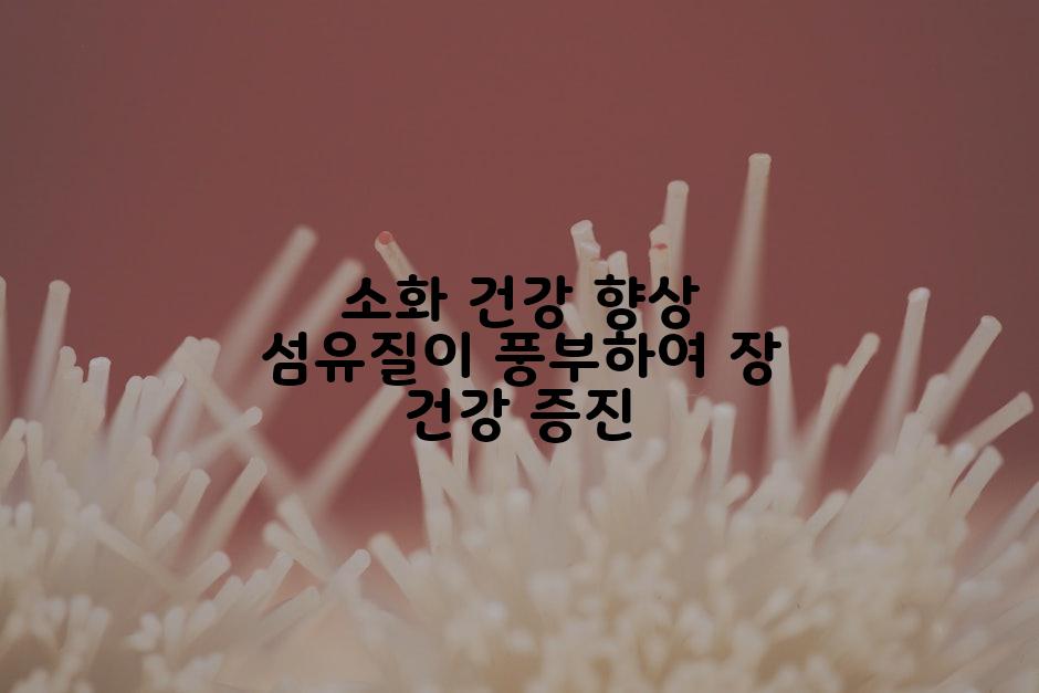 소화 건강 향상 섬유질이 풍부하여 장 건강 증진