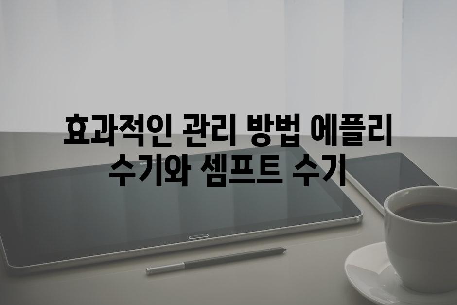 효과적인 관리 방법 에플리 수기와 셈프트 수기