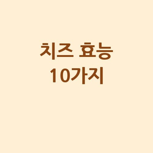 치즈 효능 10가지, 건강한 삶의 비결!