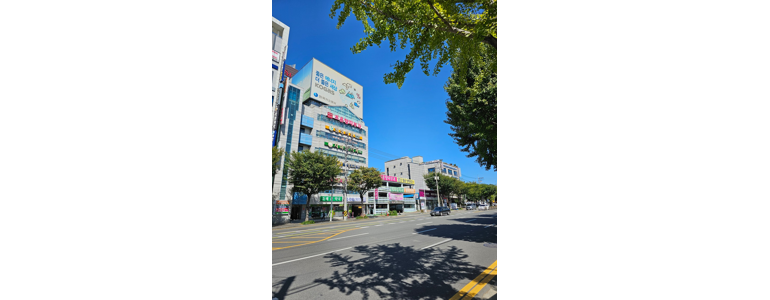 순천시 우울증