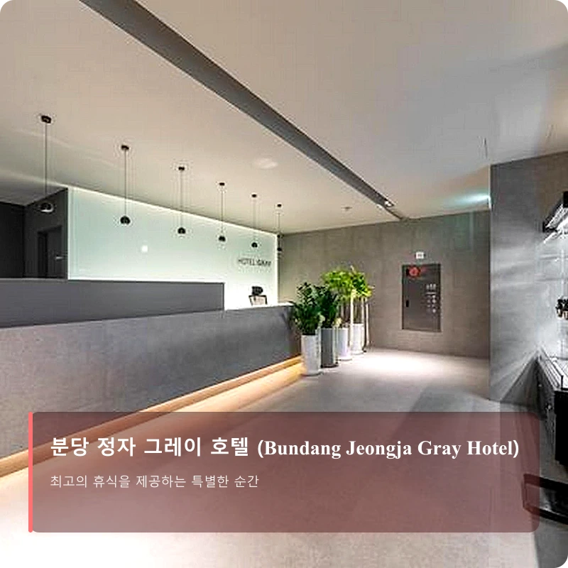 분당 정자 그레이 호텔 (Bundang Jeongja Gray Hotel)_4