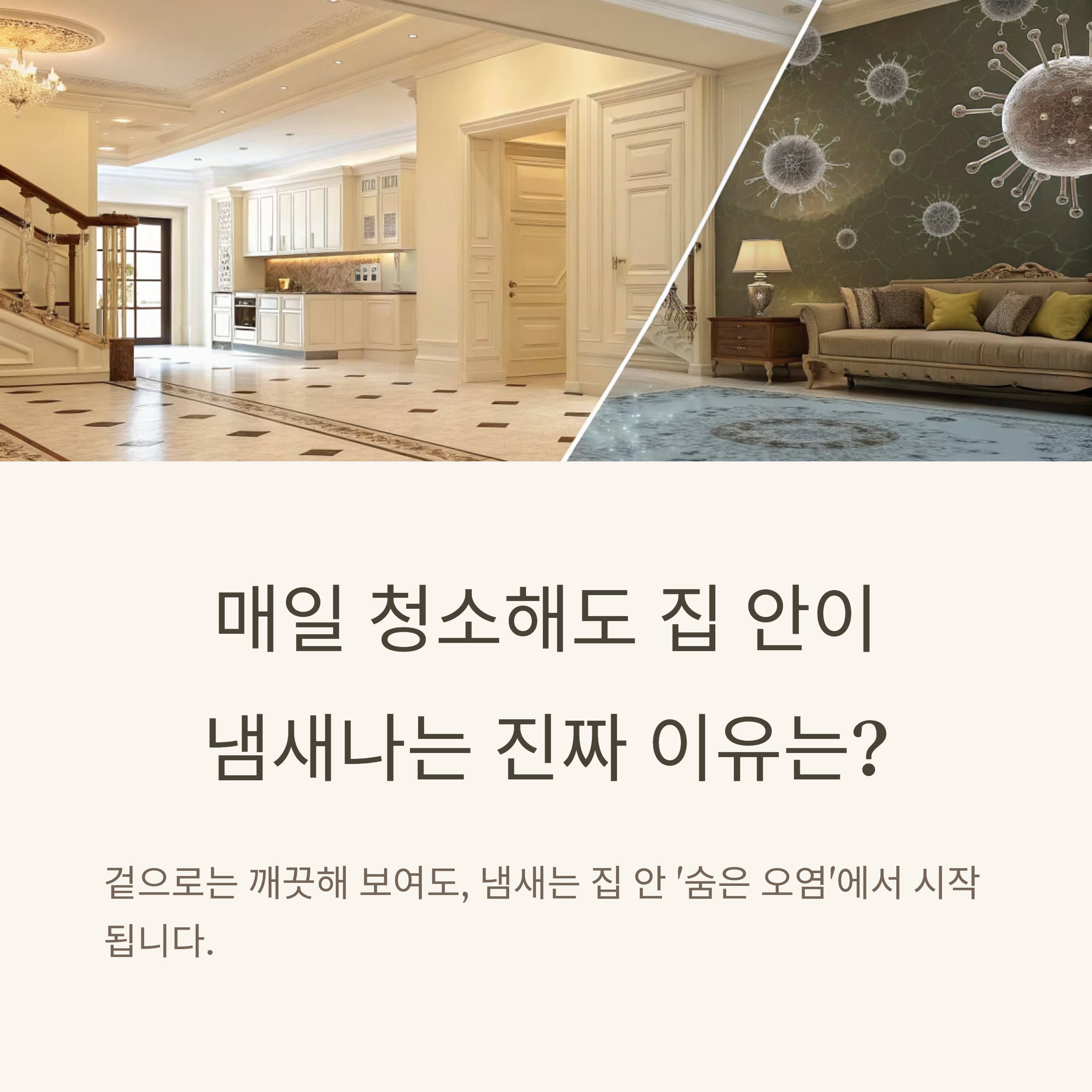 집 안이 냄새