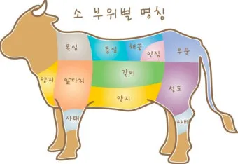 소고기 부위 가장 부드러운 순서대로 10선_4