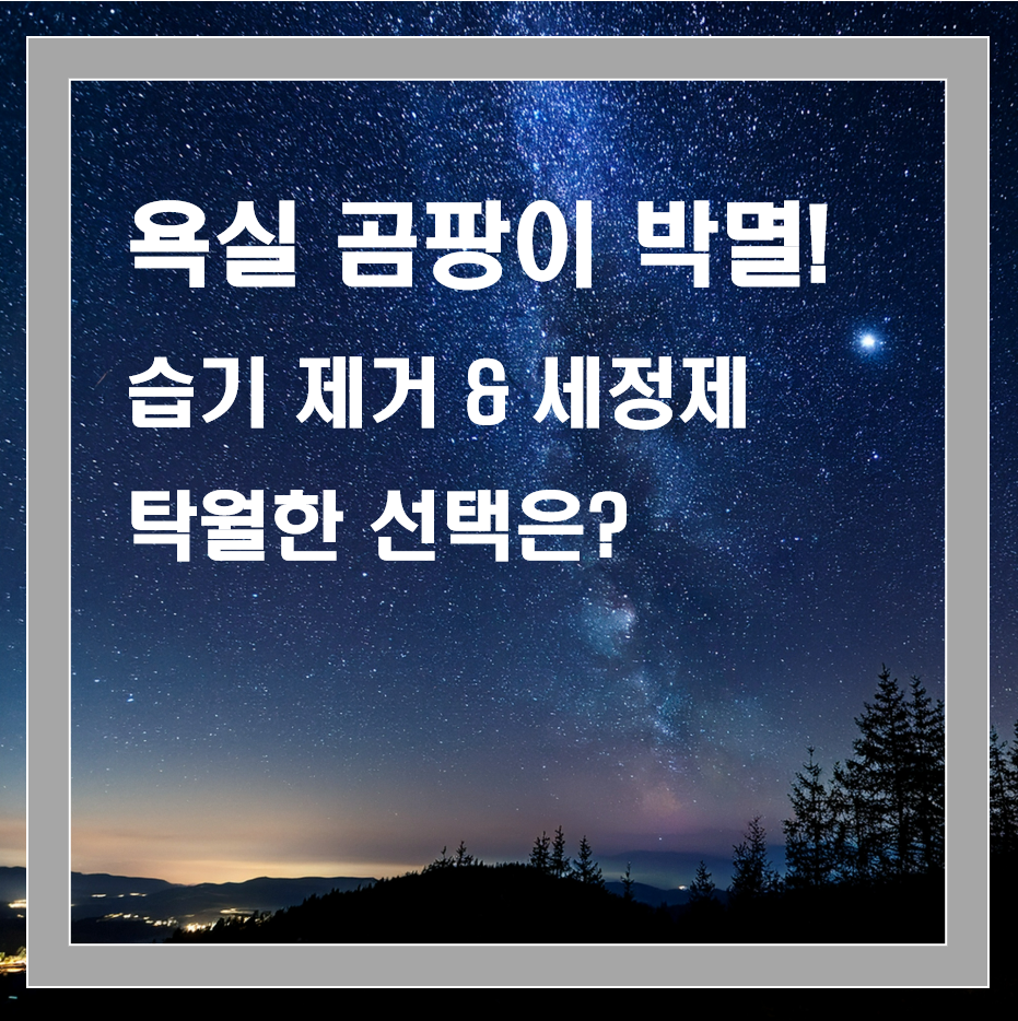 욕실 곰팡이 방지법, 습기 제거부터 세정제 선택까지
