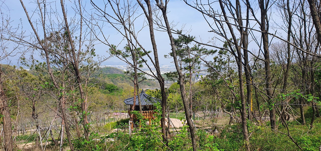 계양산 둘레길 공원