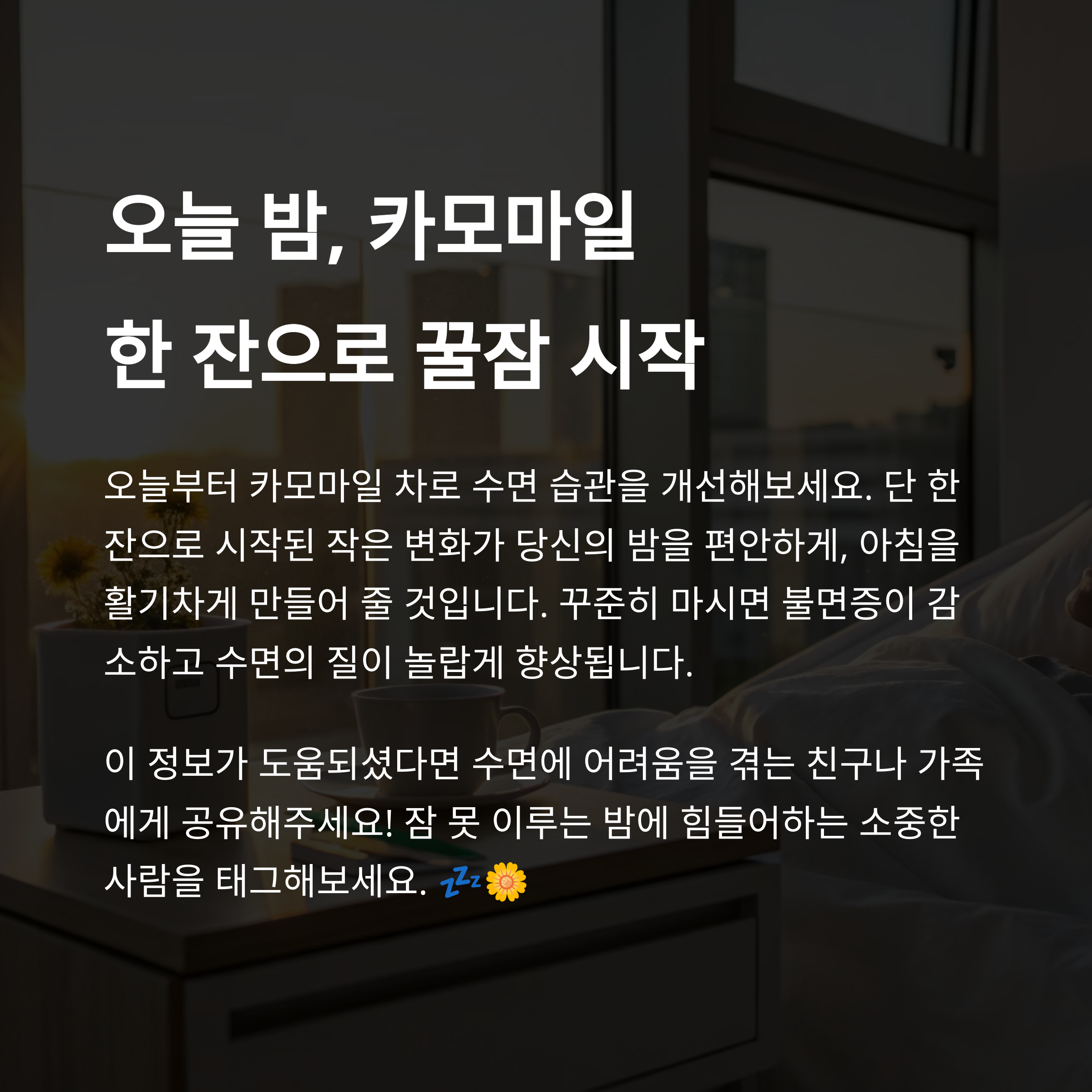 창밖 아침 햇살과 함께 테이블 위에 놓인 카모마일 차. 꾸준히 마시면 불면증이 줄고 수면의 질이 향상된다는 메시지 강조