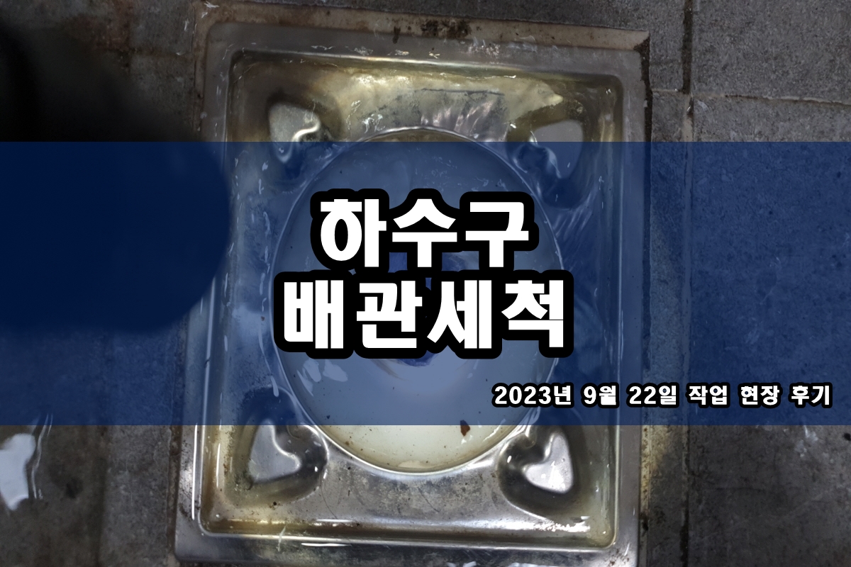  충정로 하수구 수원시 팔달구 교동 내시경 가격