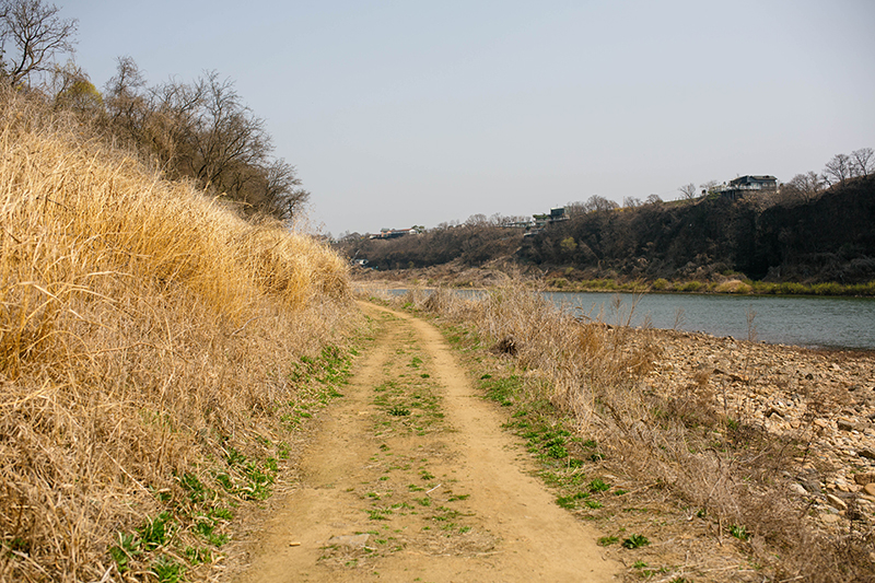 임진강 변 산책로.