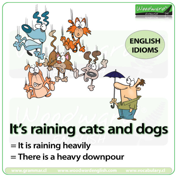 It's raining cats and dogs. 비바람/폭풍우가 심하다