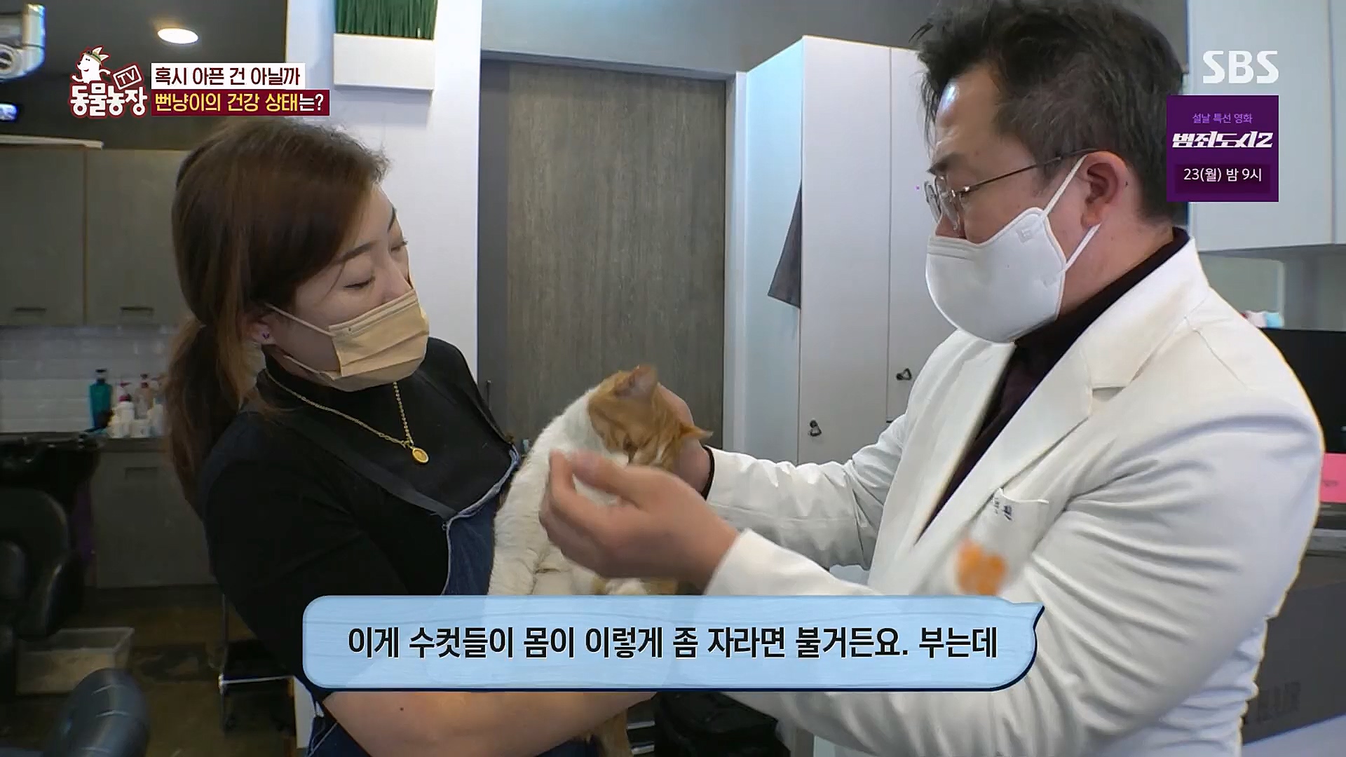 TV 동물농장.E1104.230115p.H264-F1RST.mp4_20230115_173209.526.jpg