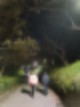 자갈치시장. 모두 싸게는 아니지만 신선함은 보장! (feat. 황령산 봉수대 야경) 부산 볼거리 :: 골라먹는 해산물 축제 30