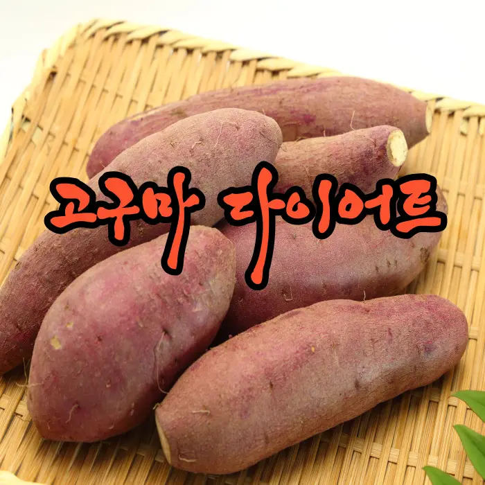  고구마 다이어트! 겨울 다이어트 끝판왕!