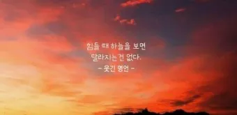 웃긴 명언 모음 웃긴 술명언 100선_4
