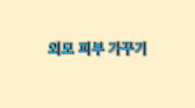 외모 피부 가꾸기 셀룰라이트
