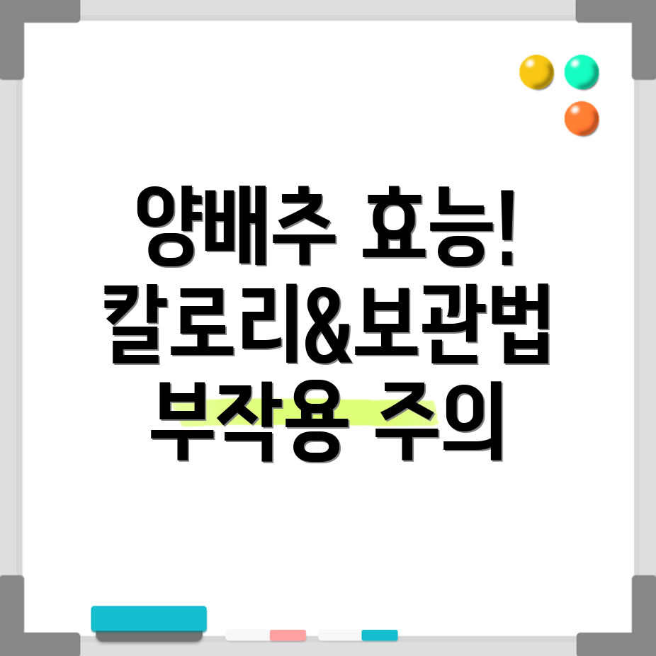양배추