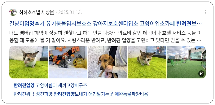 반려견 입양_2_subsection