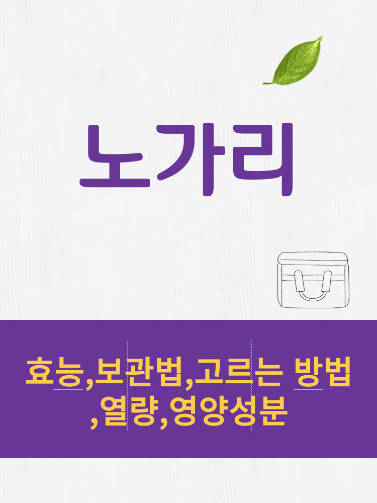  노가리 효능 및 열량과 보관법 칼로리 총정리 