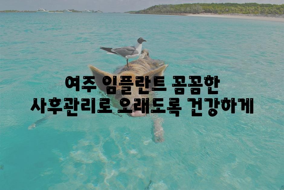 여주 임플란트 꼼꼼한 사후관리로 오래도록 건강하게