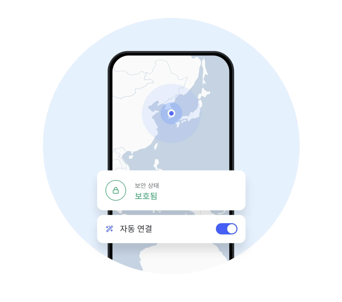 VPN 우회 프로그램