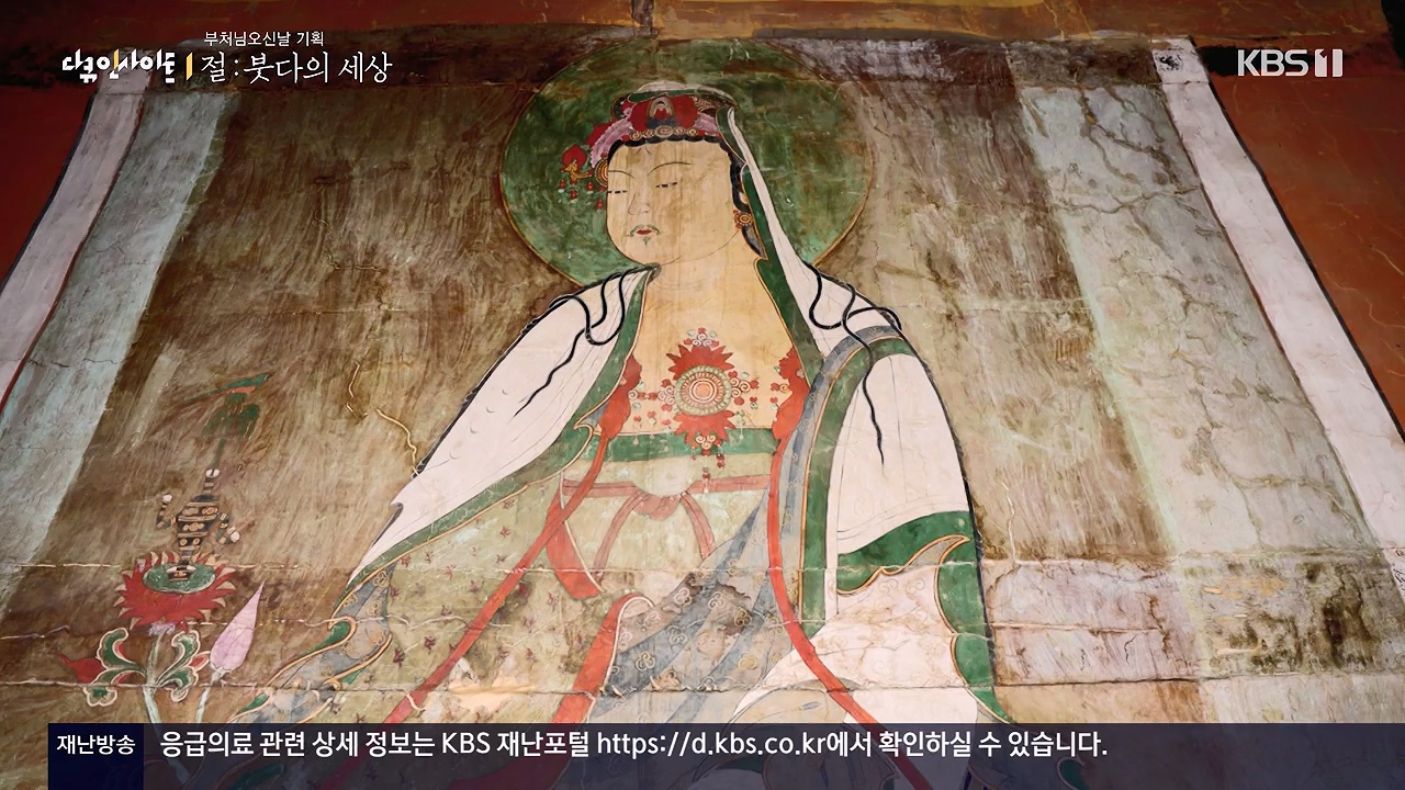 다큐 인사이트.E185.240517p-NEXT.mp4_20240517_202646.805.jpg