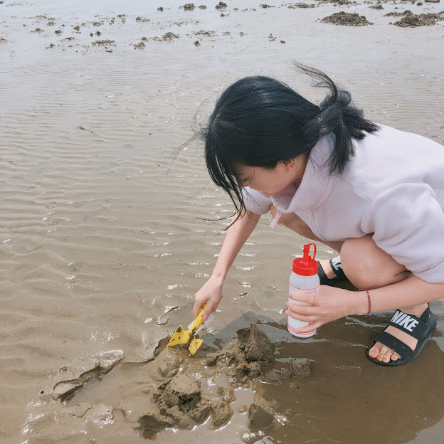  [추억여행] 맛조개, 동죽 잡기 : 태안 몽산포해수욕장