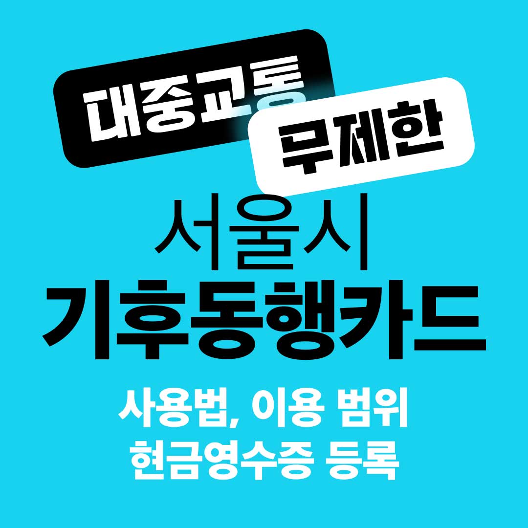 기후동행카드 사용법&#44; 서비스 이용 범위&#44; 현금영수증 등록