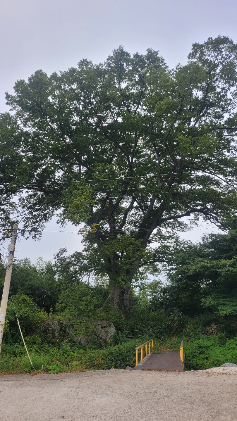 2층 빨간벽돌집 감성 갬성주택 43