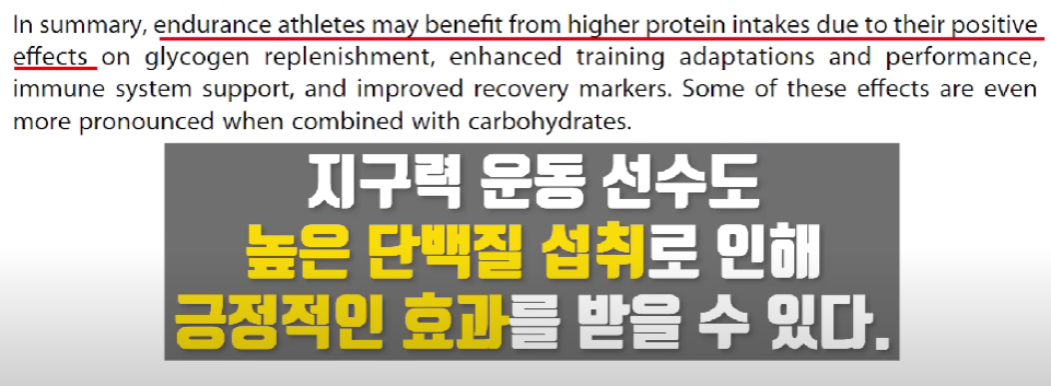 지구력 운동 선수도 고단백 좋음