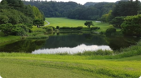 뉴서울cc전경3