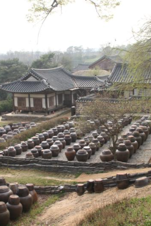 충청도 가볼만한곳 베스트 10 대전 태안 단양 공주