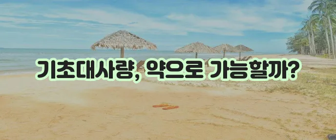 기초대사량 늘리는 약 확실히 알아봅시다!