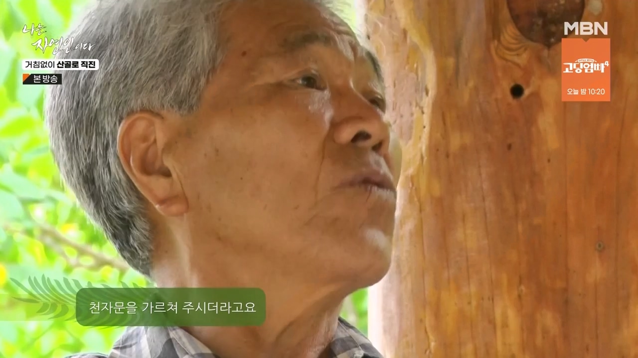나는 자연인이다.E564.230727p-NEXT.mp4_20230727_211927.079.jpg