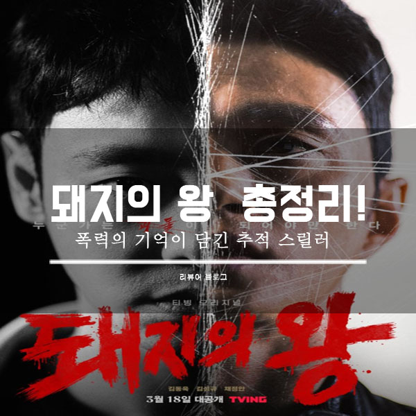  돼지의 왕 총정리!