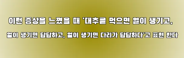  이런 증상을 느꼈을 때 '대추를 먹으면 열이 생기고, 열이 생기면 답답하고, 열이 생기면 다리가 답답하다'고 표현 한다